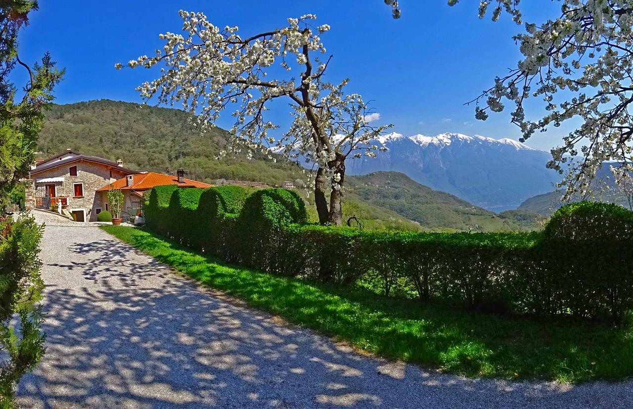 Casa Belvedere Garden By Gardadomusmea Tremosine Exterior photo